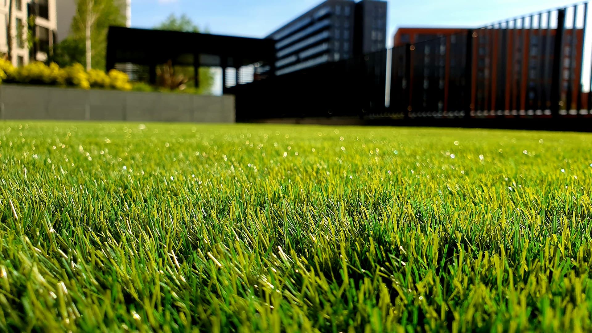 Professionelle Gartenpflege Düsseldorf